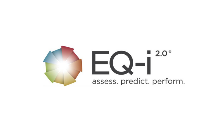 Read more about the article Emotional Intelligence Assessments At Anderson & Anderson