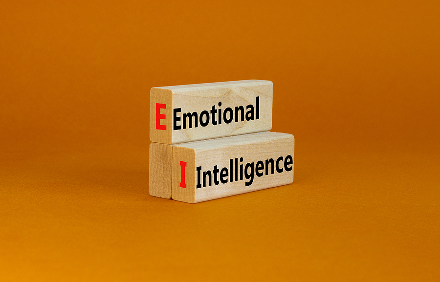 Read more about the article How Emotional Intelligence can help Certified Batterer’s Intervention Facilitators